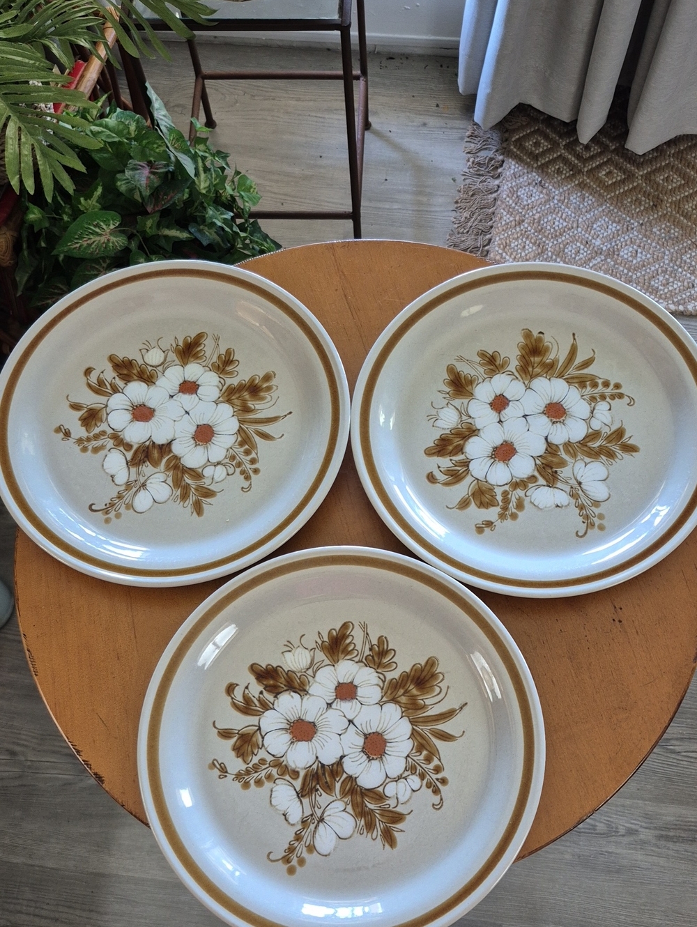 Vintage Mountain Wood Collection Dried Flowers Dinner Plates. Set of 3